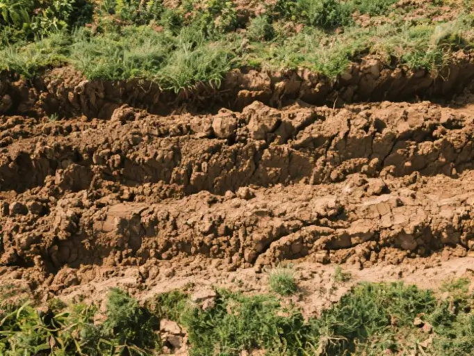 粮食作物解决方案